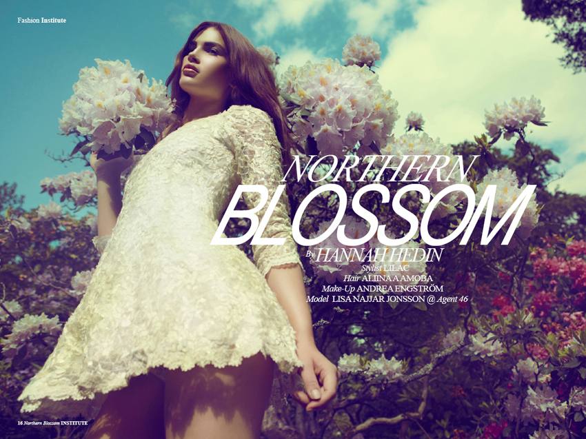 Northern Blossom