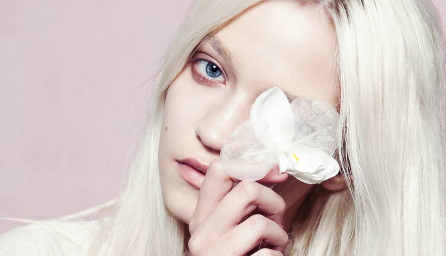 Pastel Passion