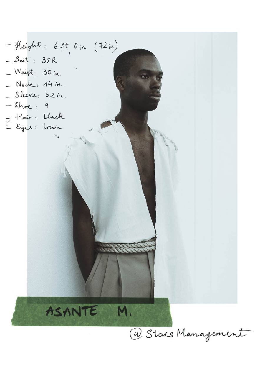 The Muse