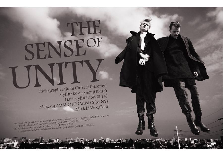 The Sense of Unity