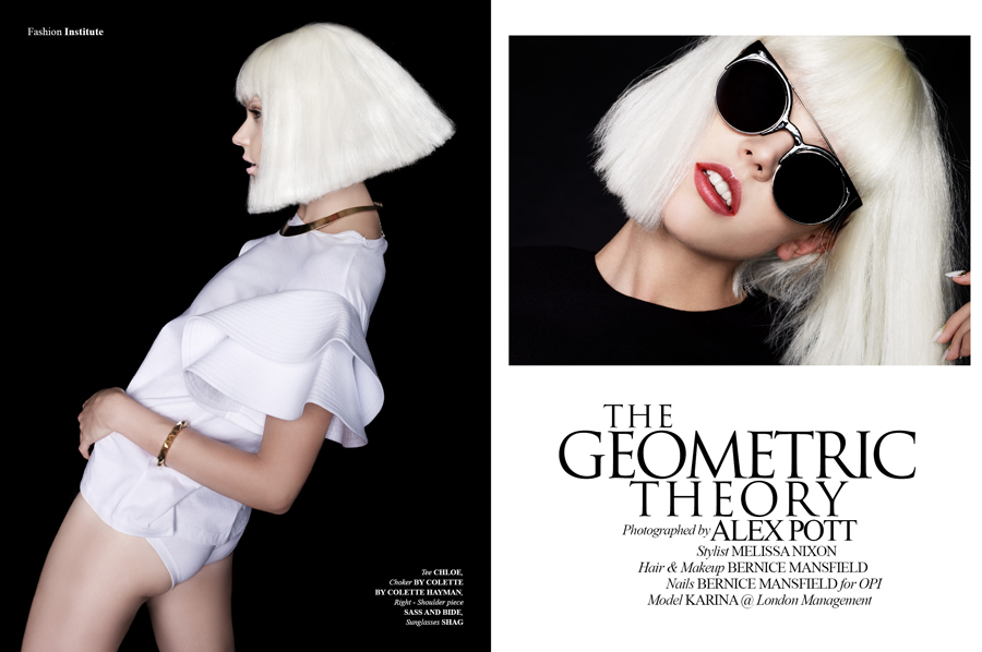 The Geometric Theory