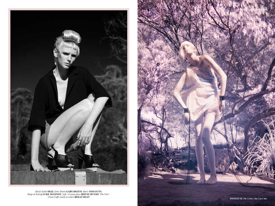 The Colors You Can't See 1