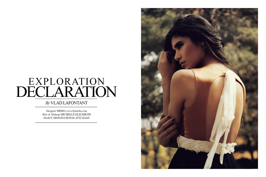 Exploration Declaration