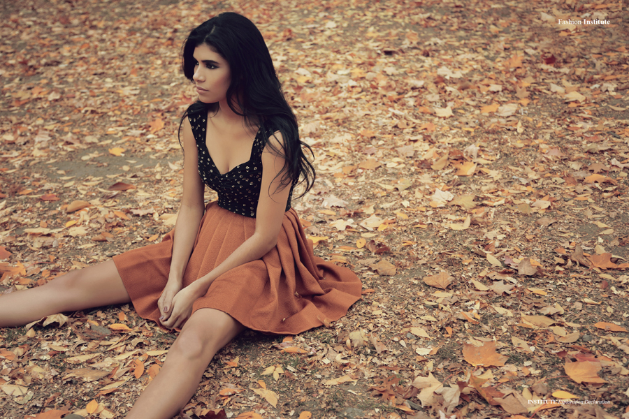 Exploration Declaration2