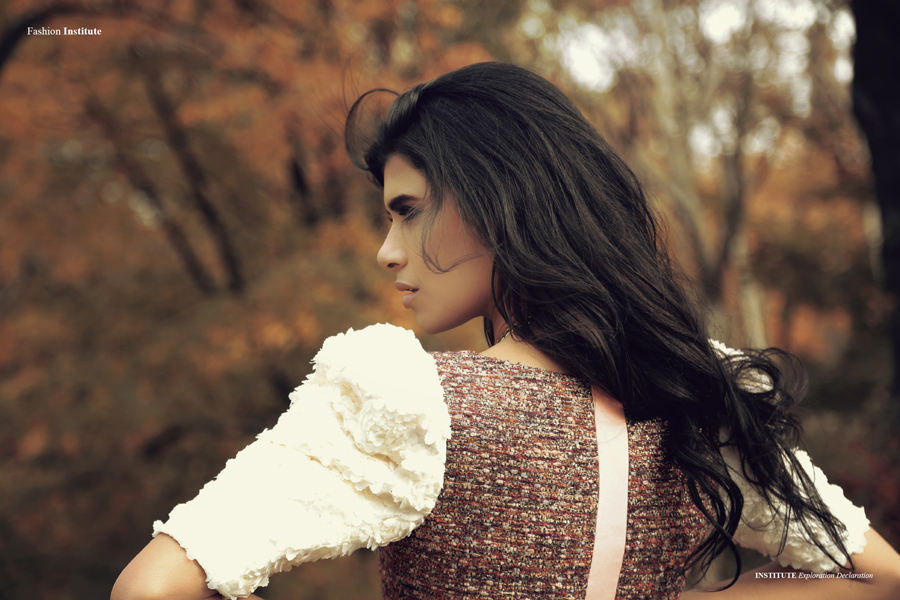 Exploration Declaration4