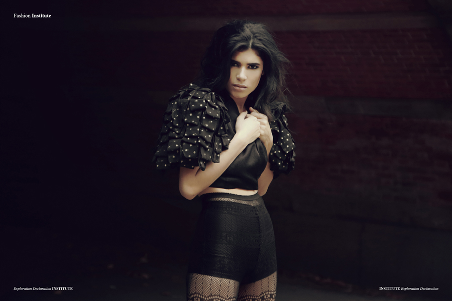 Exploration Declaration5