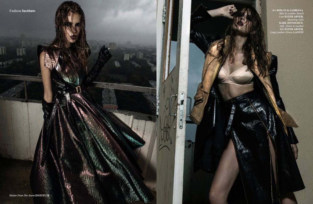 Shelter From The Storm5