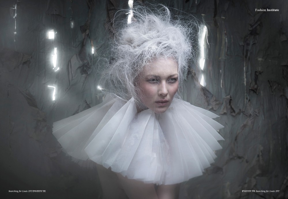 Searching for Louis XVI2