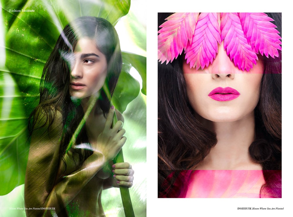 Bloom Where You Are Planted 2