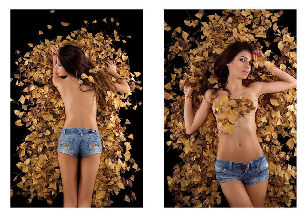 Autumn Leaves 2