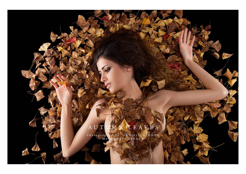 Autumn Leaves