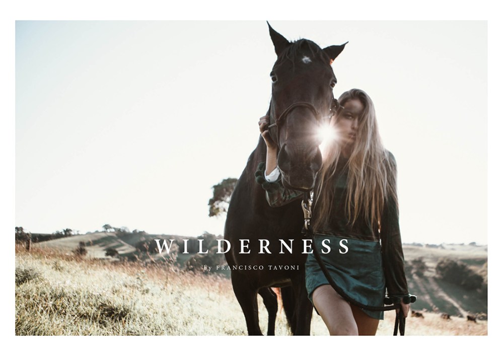 Wilderness
