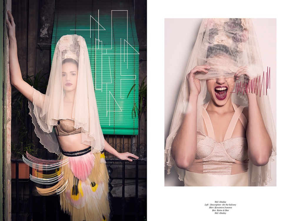 Follow Your Senses         5