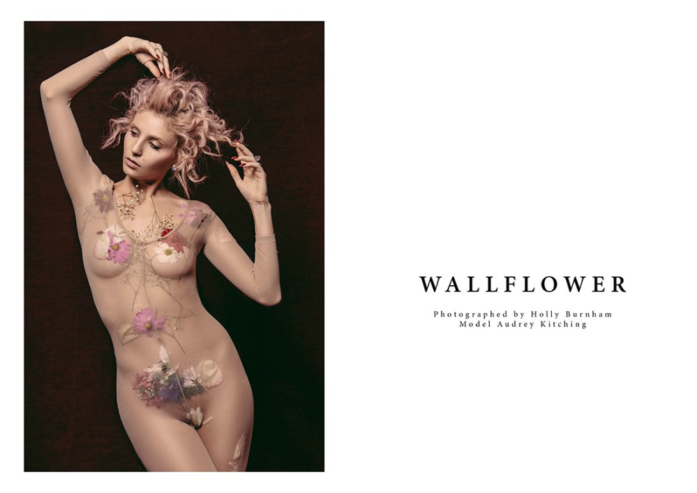 Wallflower2