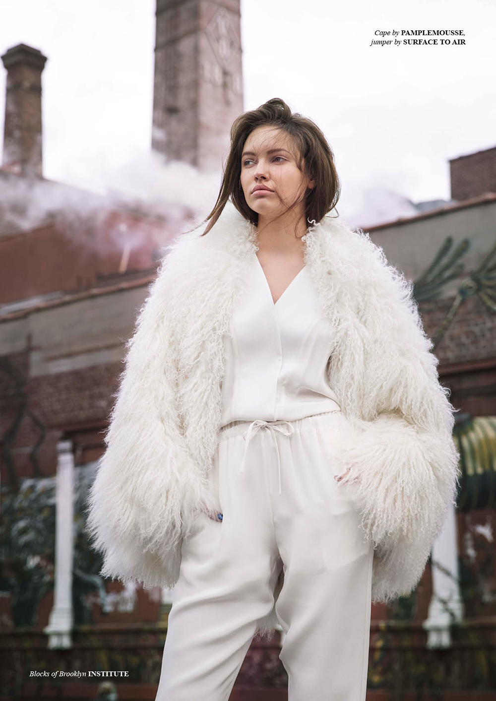 Blocks of Brooklyn 5