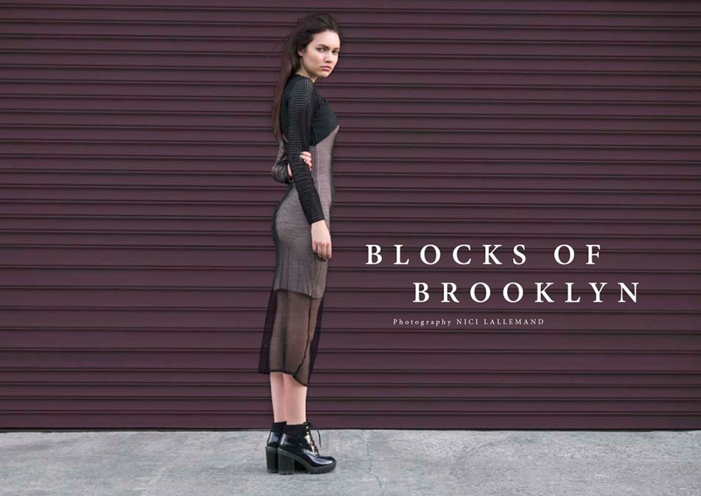 Blocks of Brooklyn