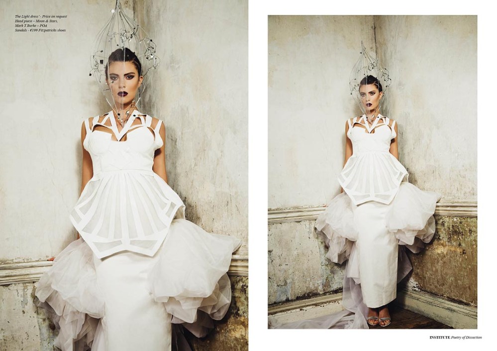 Poetry of Dissection3