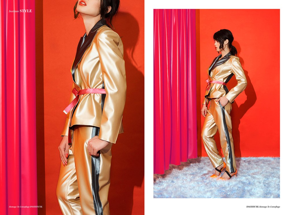 homage-to-catouflage-6