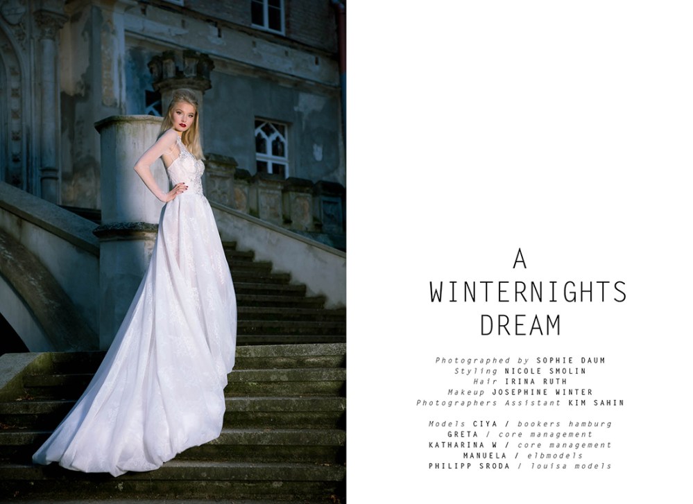 a-winternights-dream