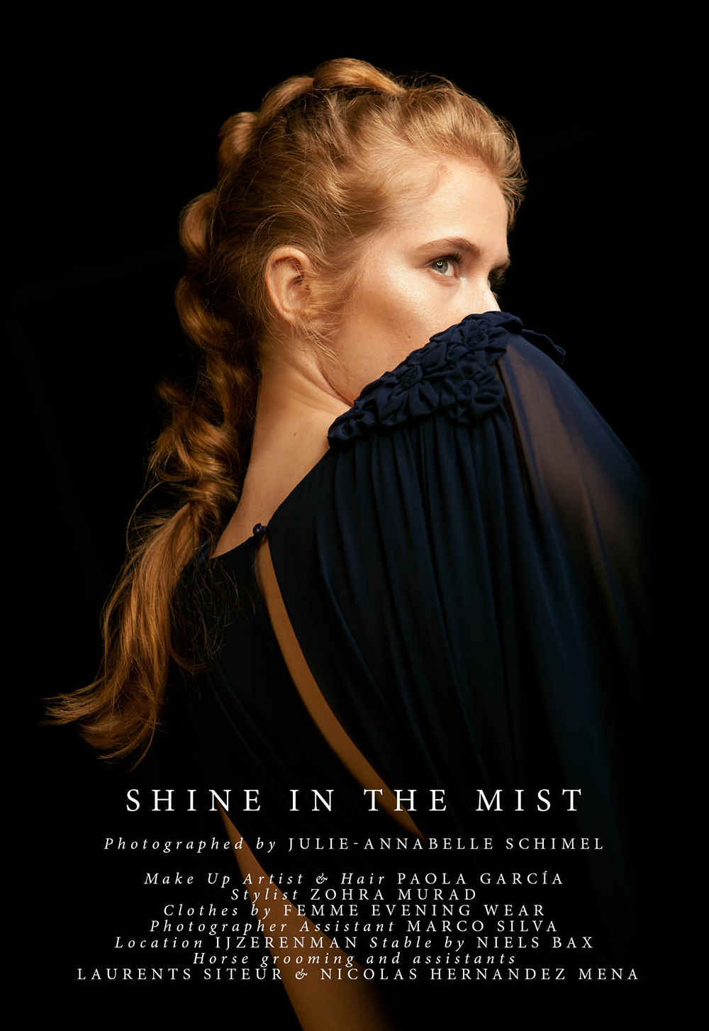 shine-in-the-mist