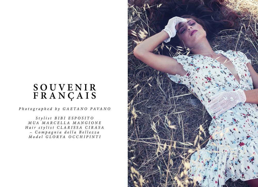 Souvenir Français