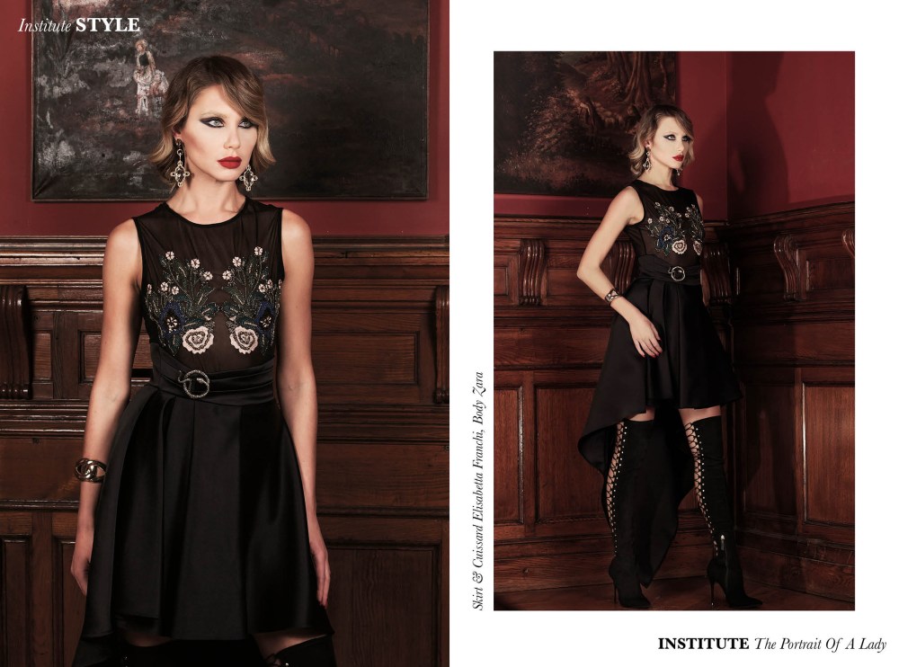 The Portrait Of A Lady2