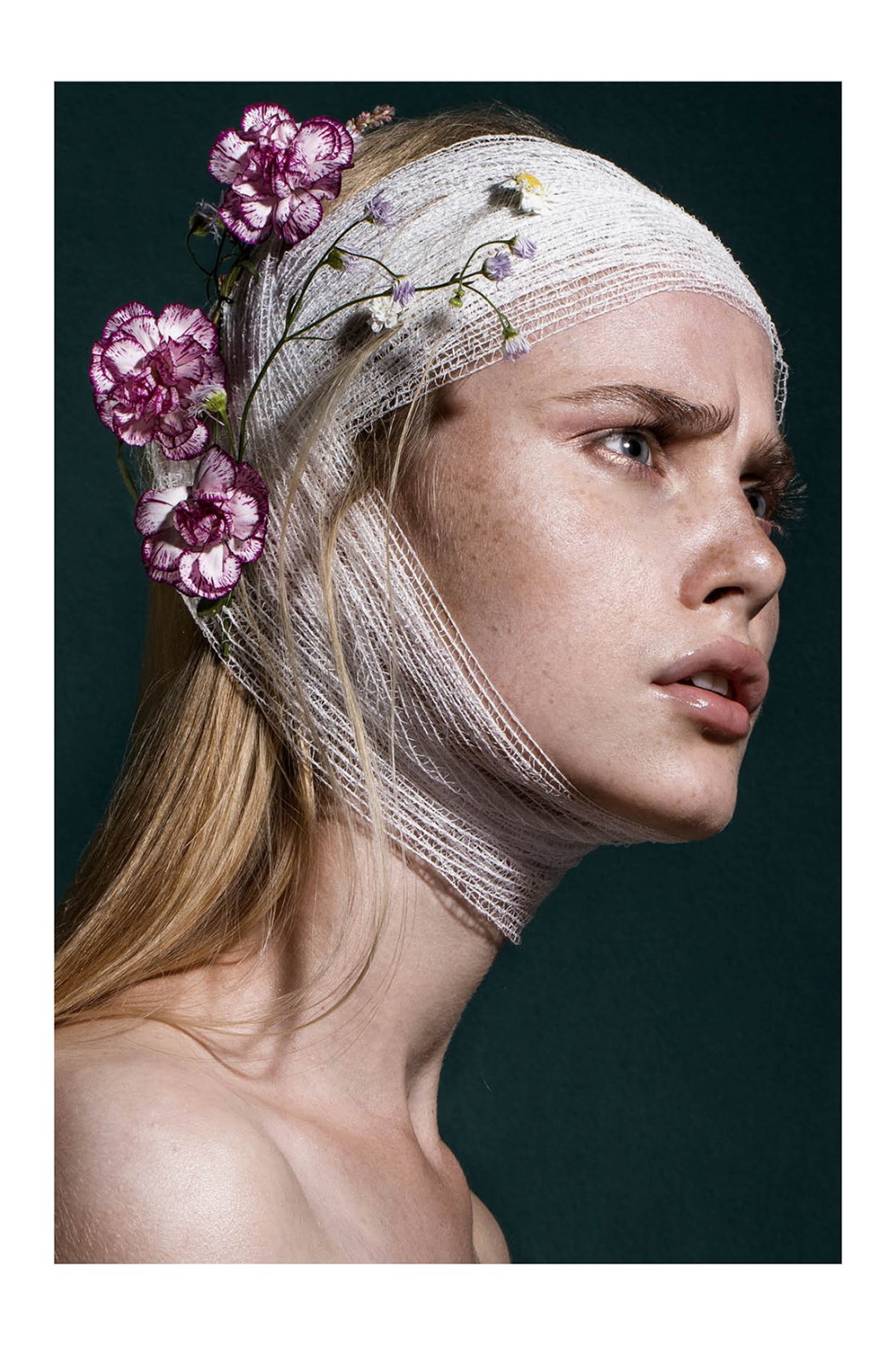 Institute Power Of Nature2